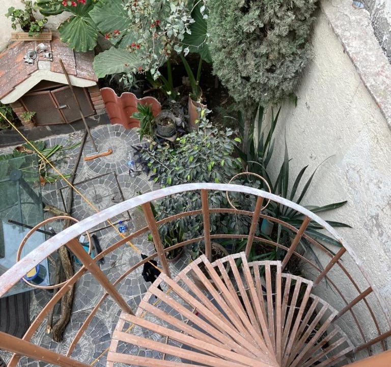 Photo of Patio Balcony in Benito Juarez