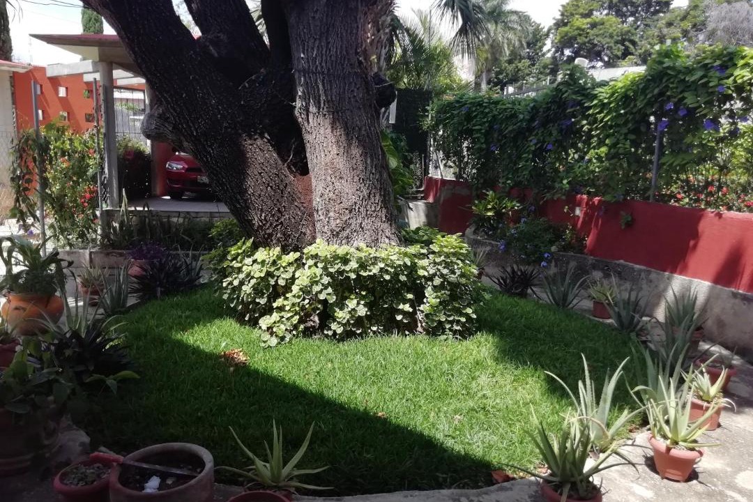 Photo of Others in Tuxtla Gutierrez
