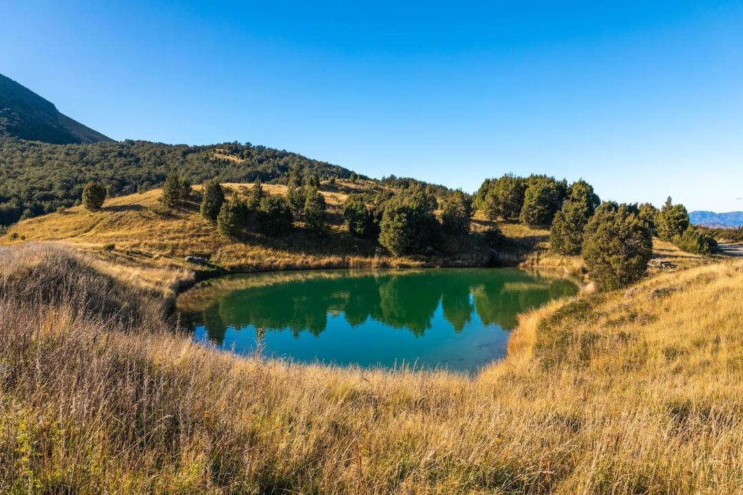 Photo of Others in Mt Lyford