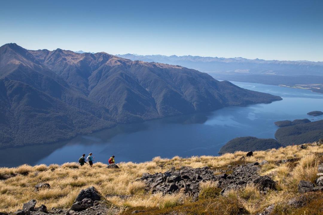 Photo of Others in Te Anau