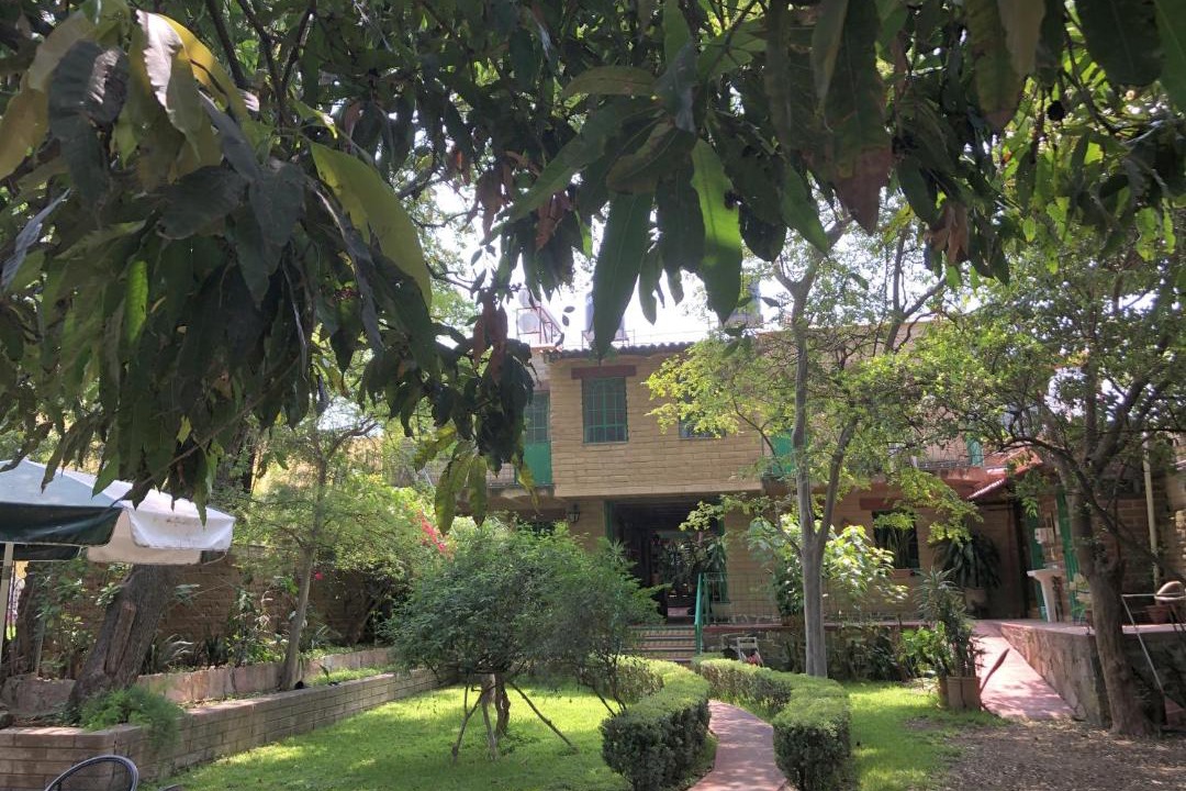 Photo of Others in Guadalajara
