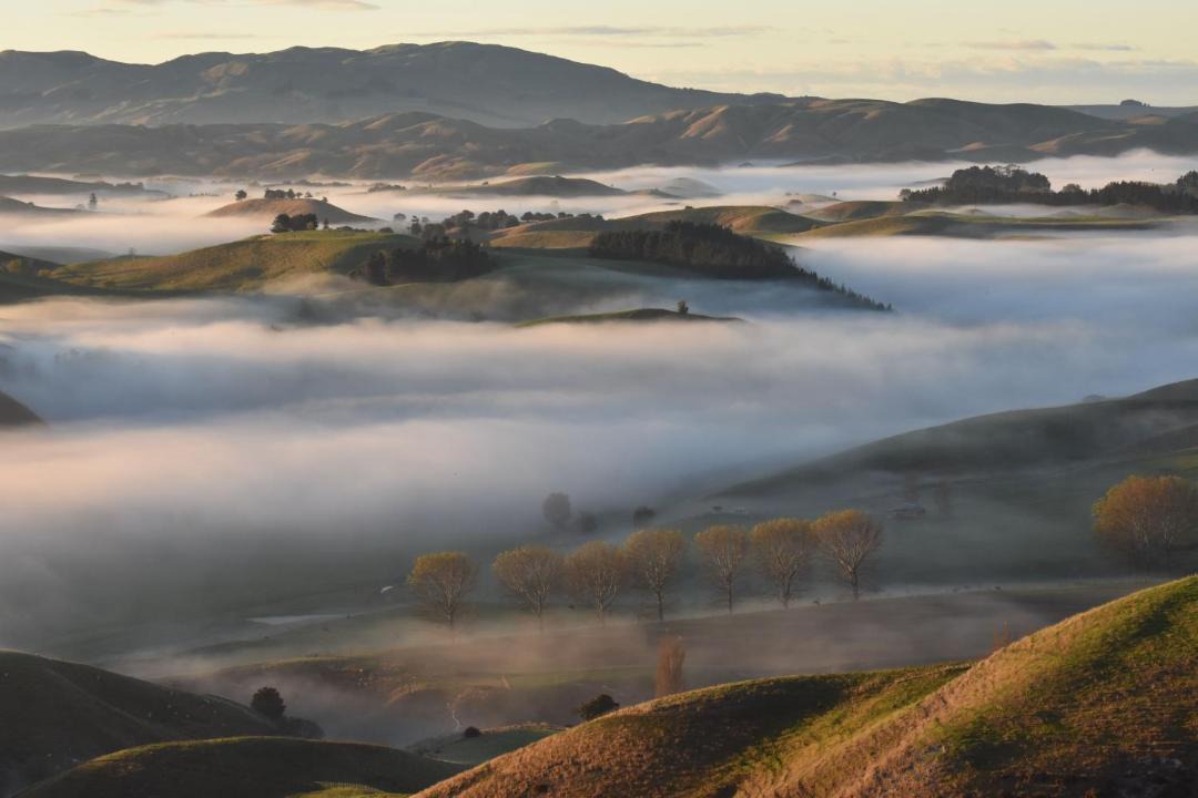 Photo of Outdoor in Waipukurau