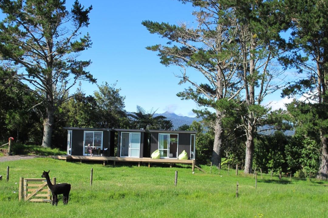 Photo of Others in Waihi