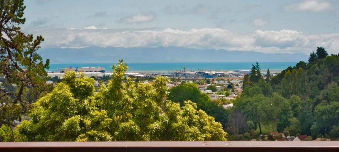 Photo of Others in Nelson