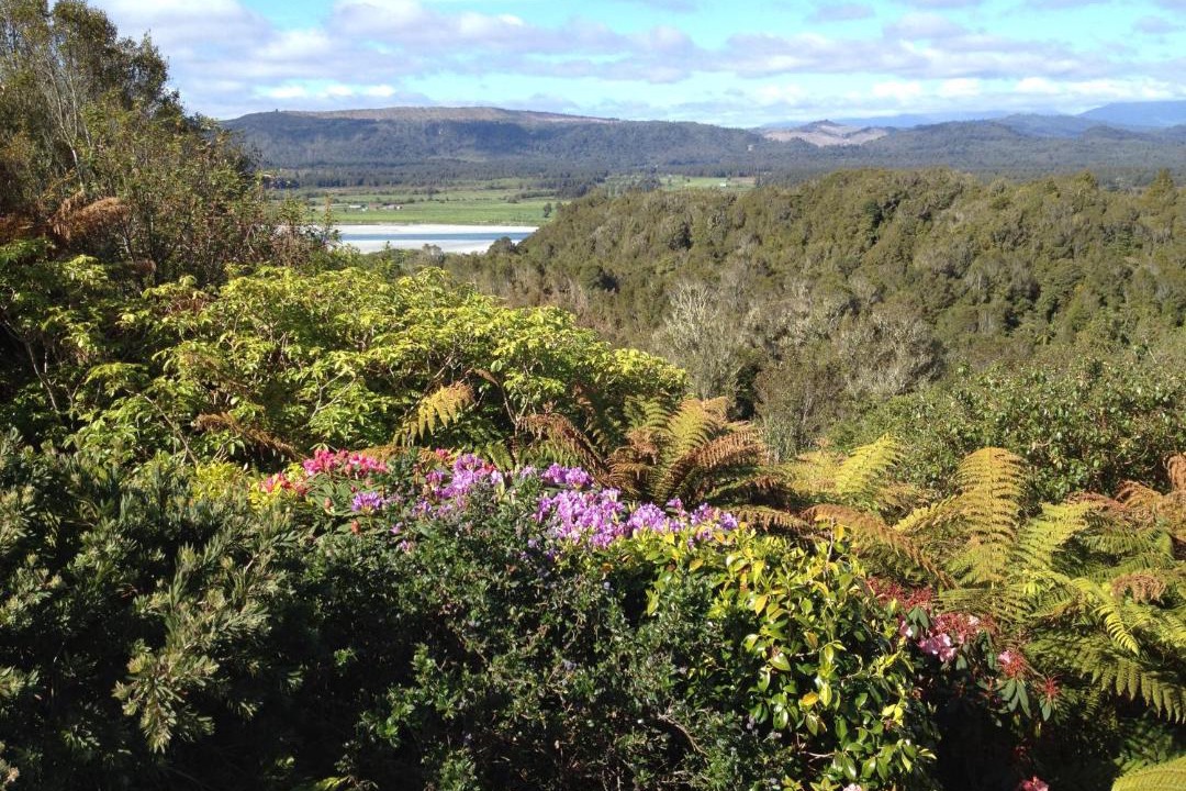 Photo of Others in Hokitika