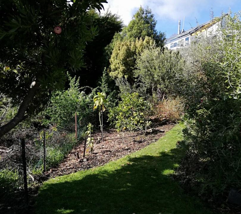 Photo of Others in Christchurch