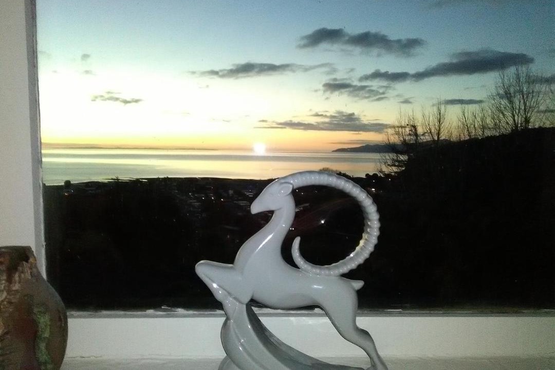 Photo of Others in Te Puru