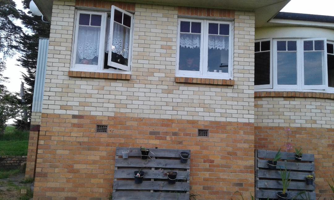 Photo of Buildings in Te Akau