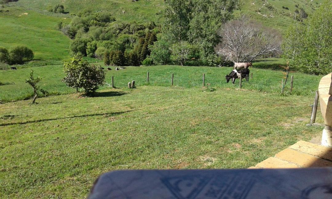 Photo of Others in Te Akau