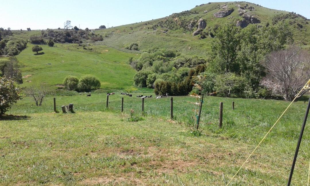 Photo of Outdoor in Te Akau