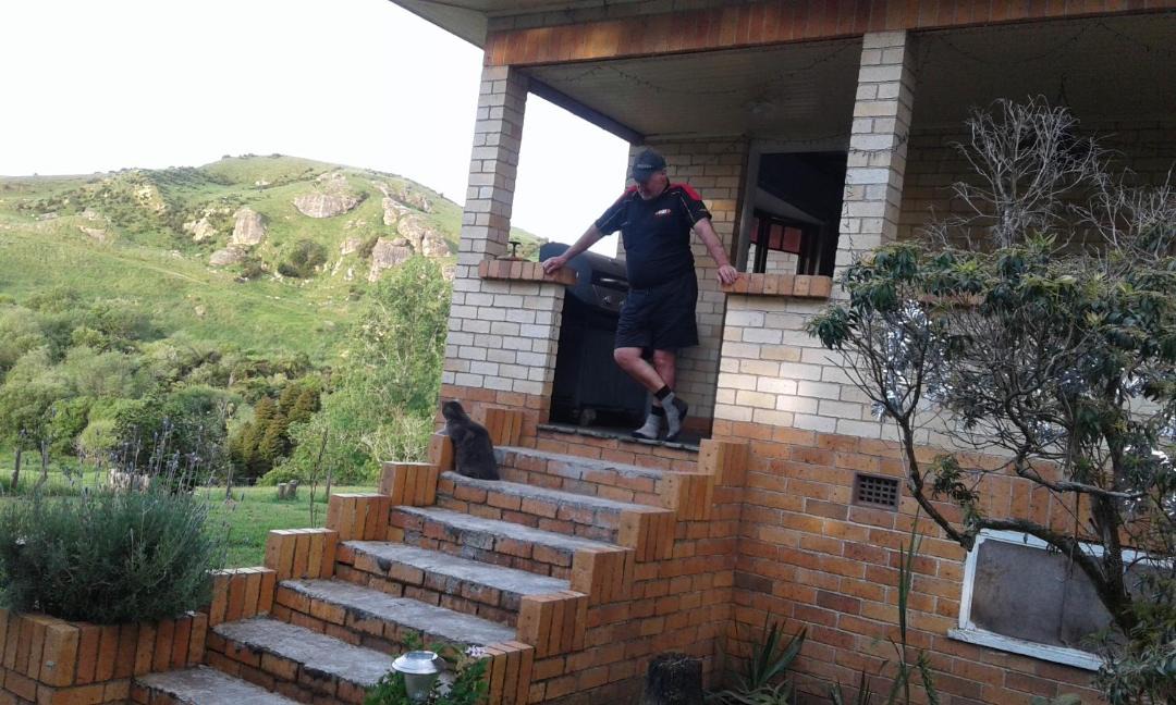 Photo of Others in Te Akau