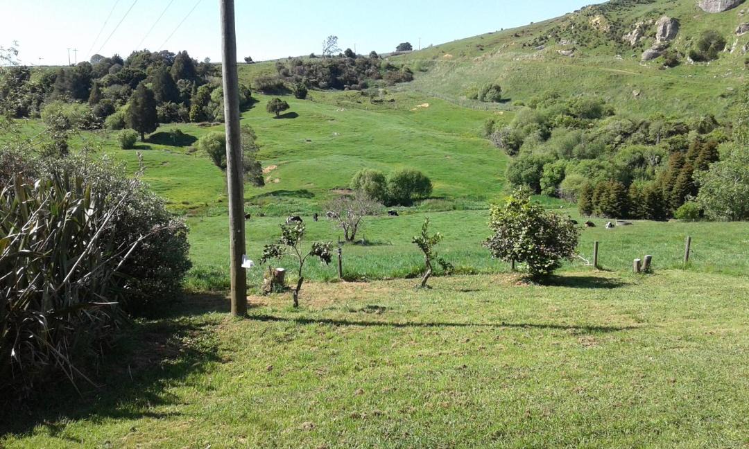 Photo of Outdoor in Te Akau