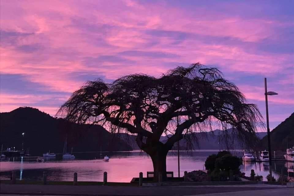 Photo of Buildings in Picton