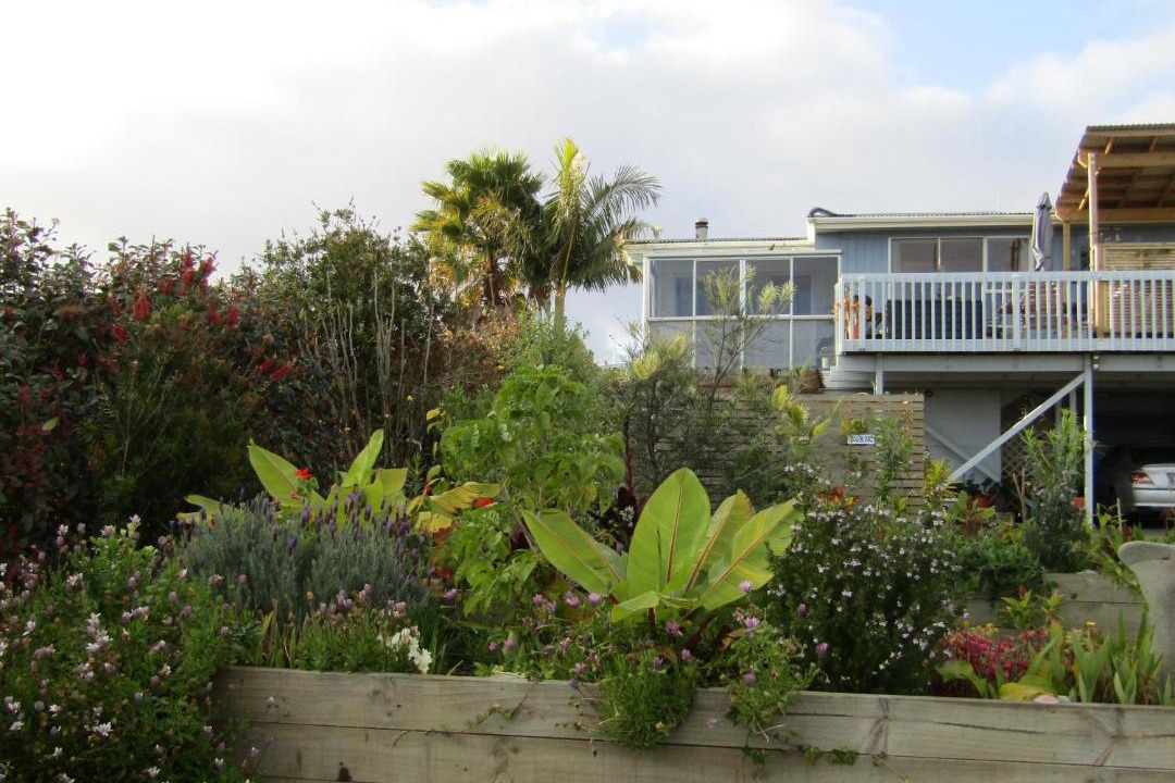 Photo of Buildings in Coopers Beach