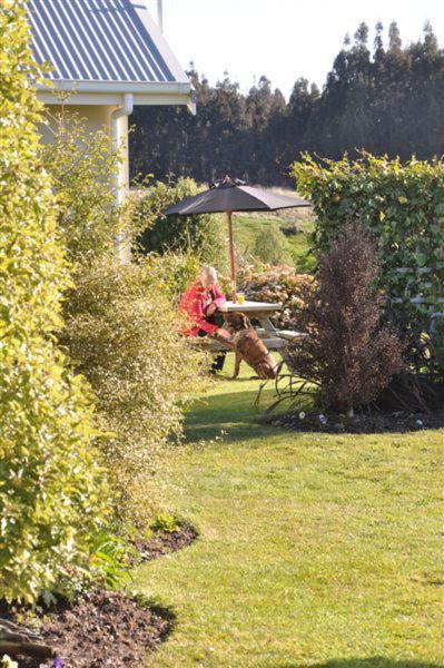 Photo of Others in Te Anau