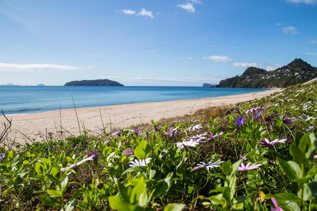 Photo of Outdoor in Tairua