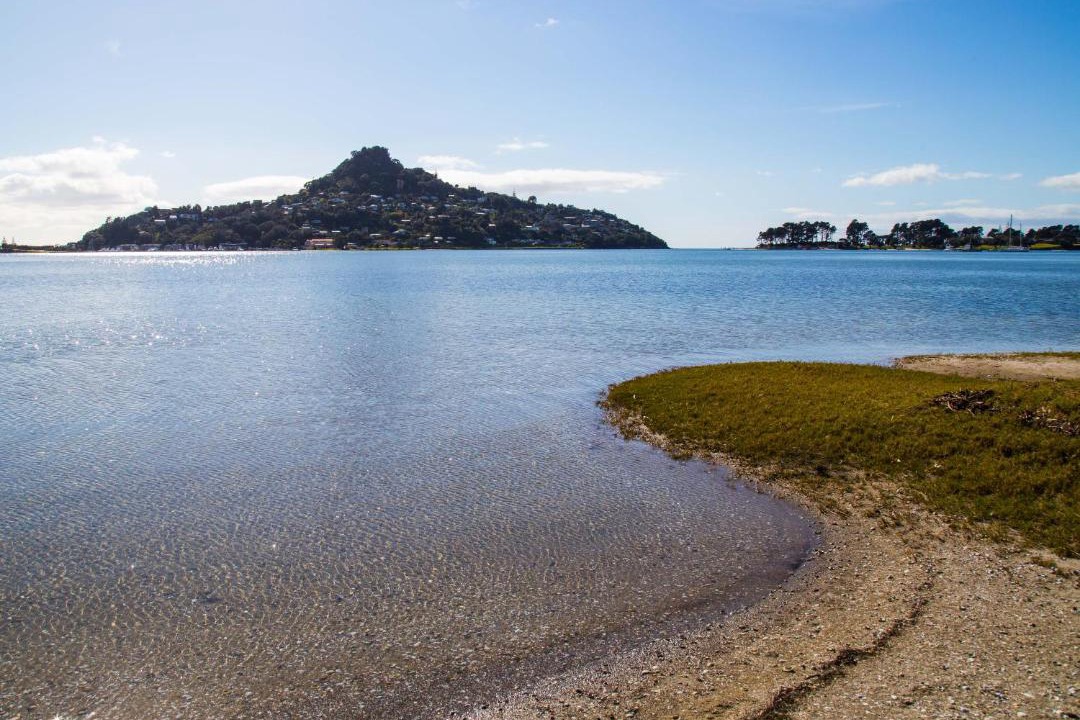Photo of Outdoor in Tairua