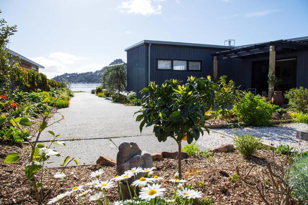 Photo of Buildings in Tairua