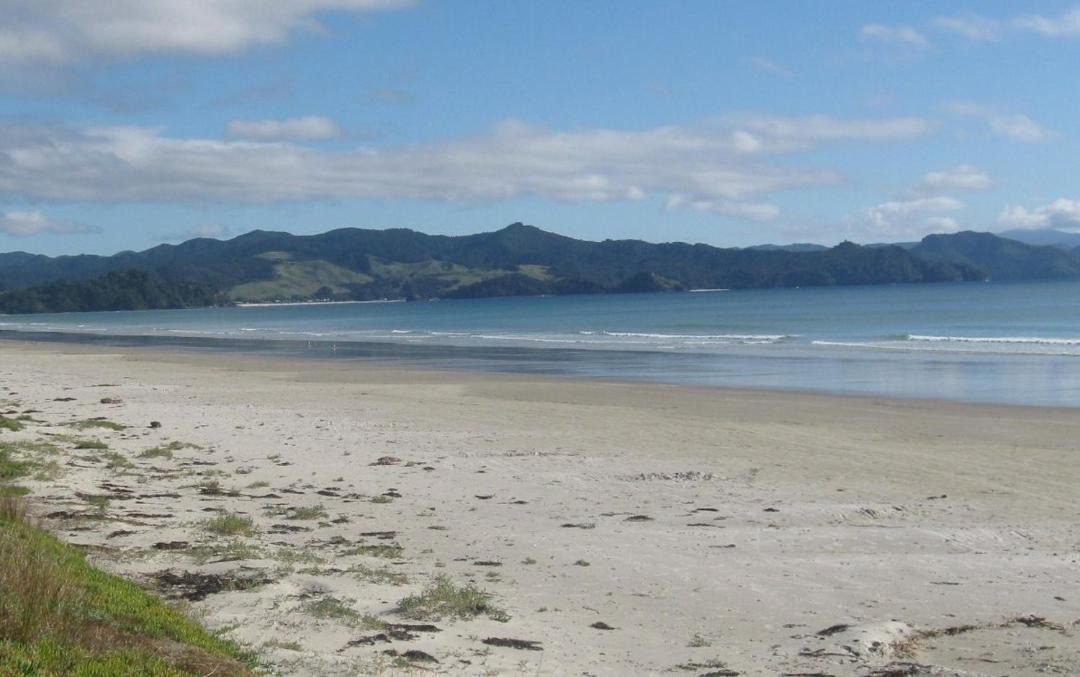 Photo of Outdoor in Matarangi