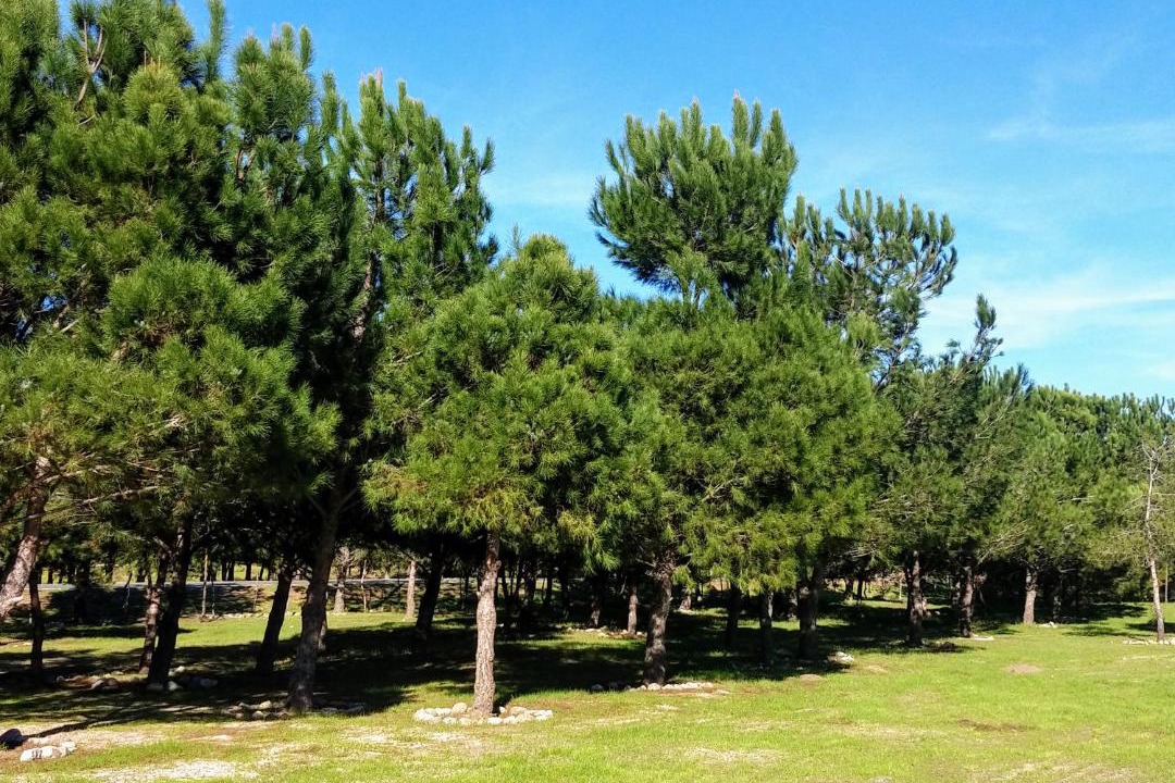 Photo of Outdoor in Valle de Guadalupe