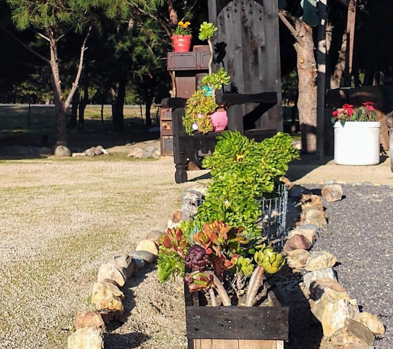 Photo of Others in Valle de Guadalupe