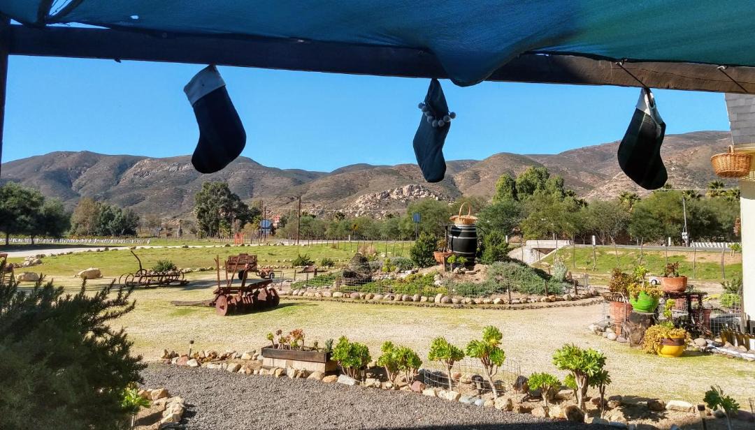 Photo of Others in Valle de Guadalupe