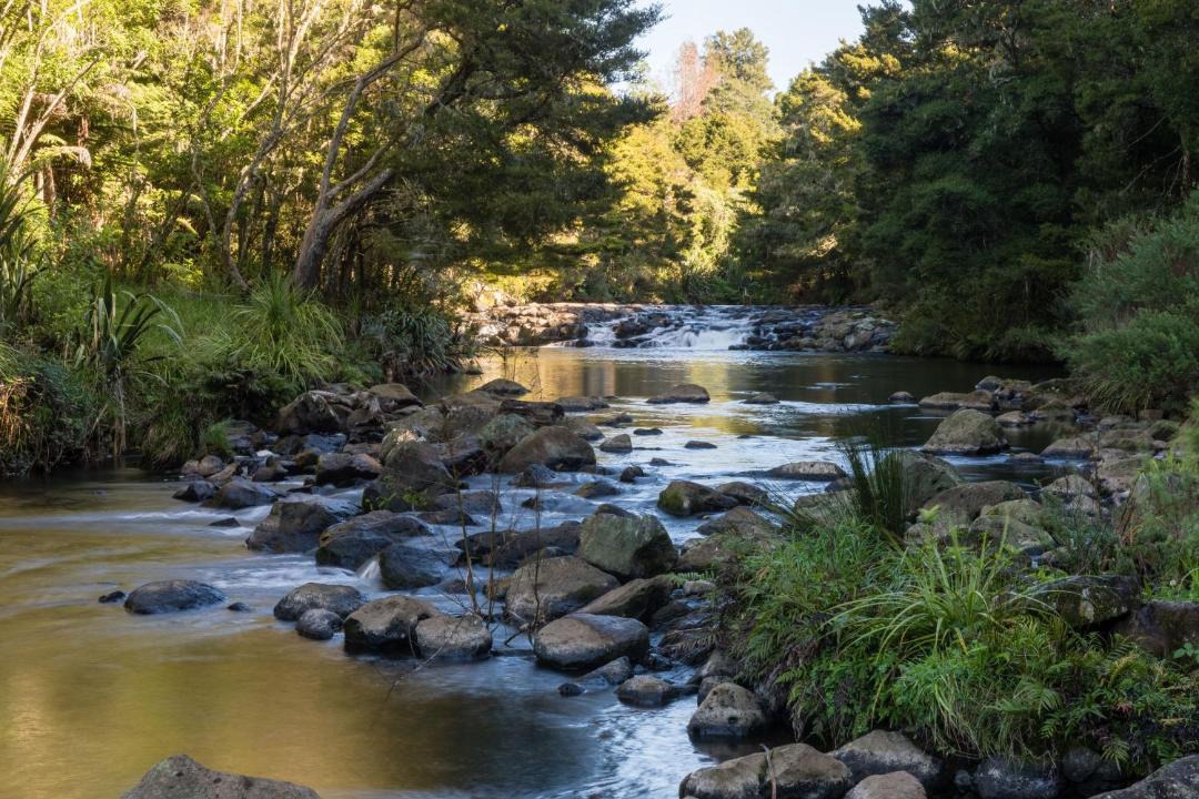 Photo of Others in Kerikeri