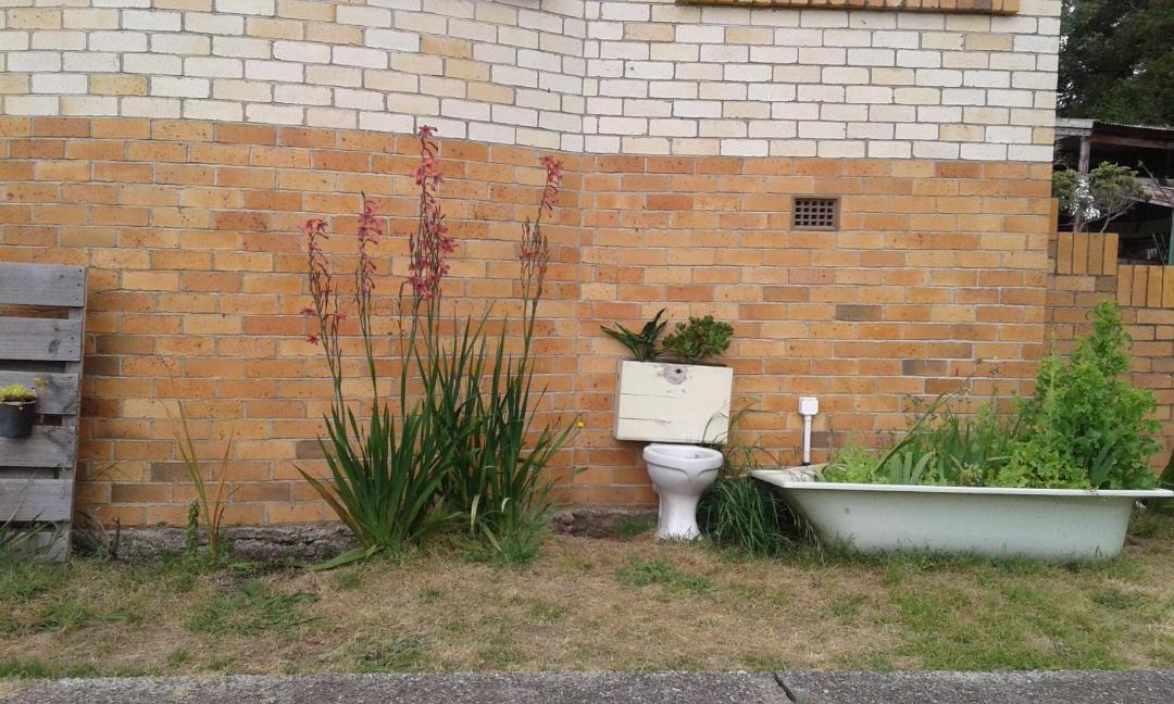 Photo of Others in Te Akau
