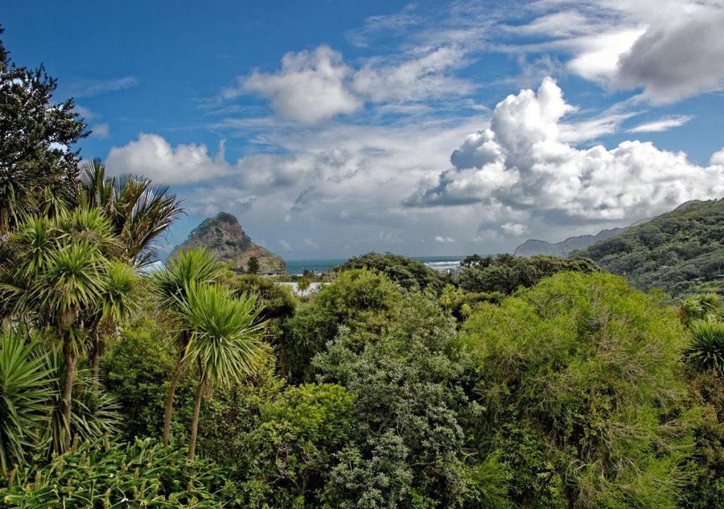 Photo of Others in Piha
