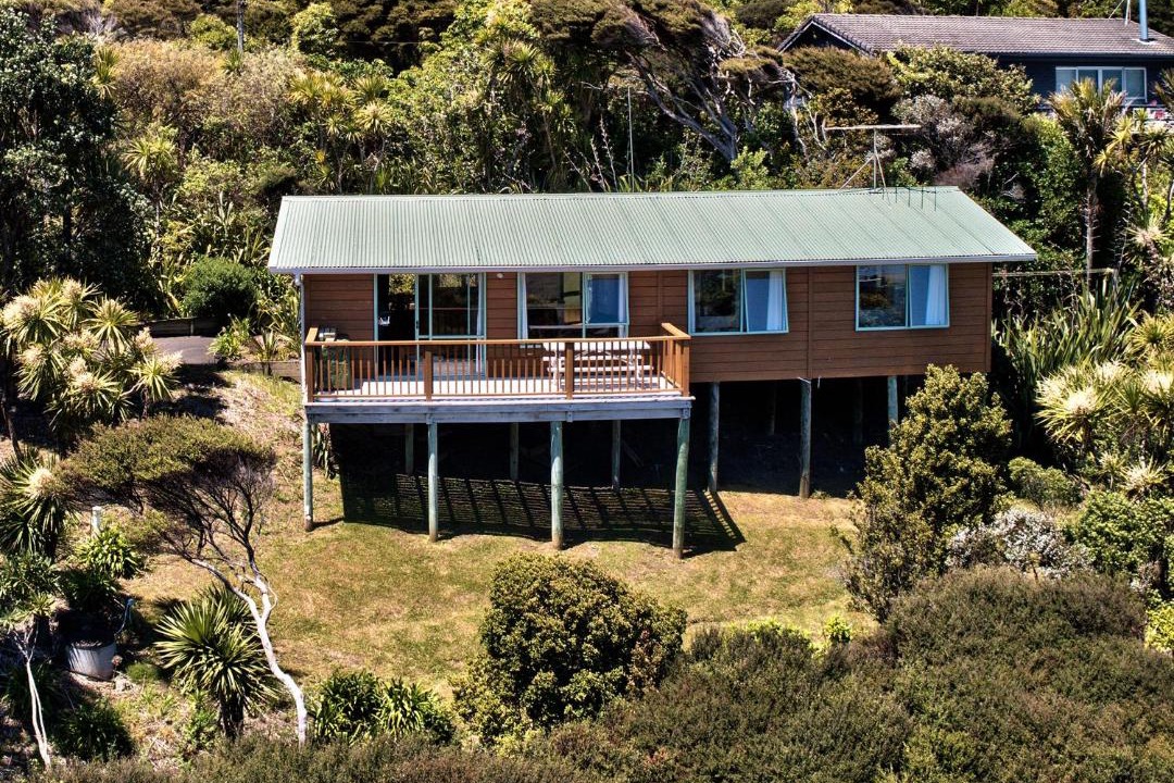 Photo of Others in Piha