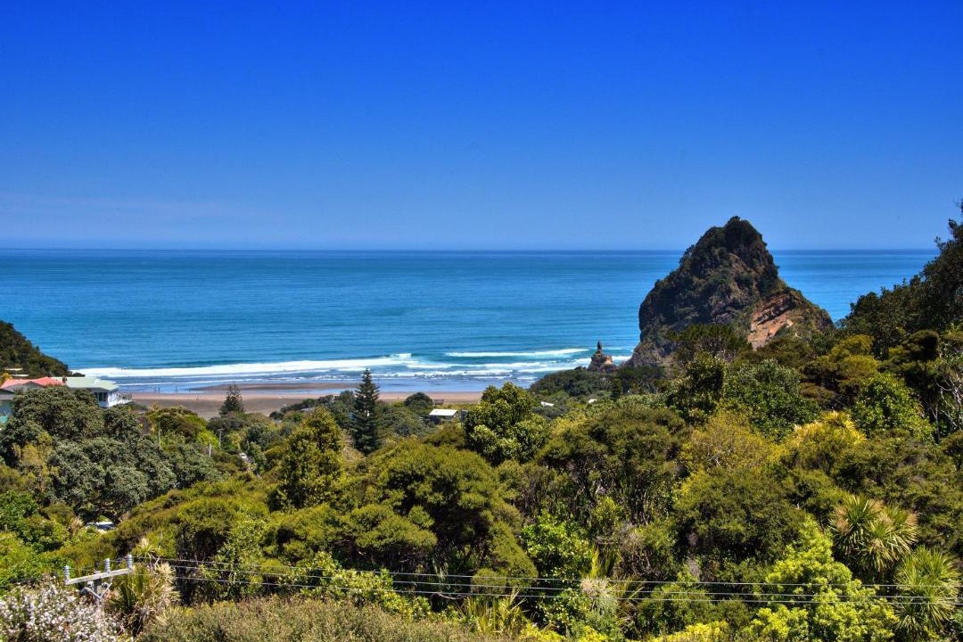 Photo of Others in Piha