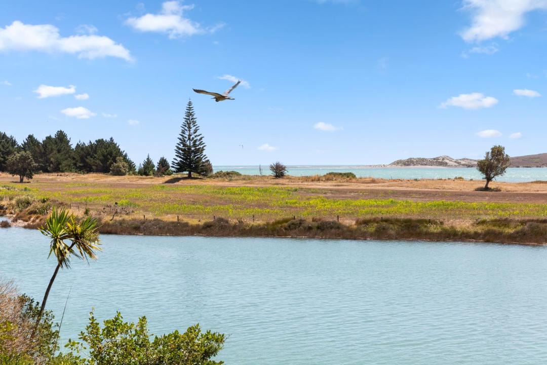 Photo of Outdoor in Raglan