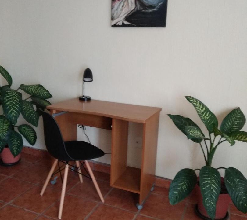 Photo of Livingroom in San Antonio Tlayacapan