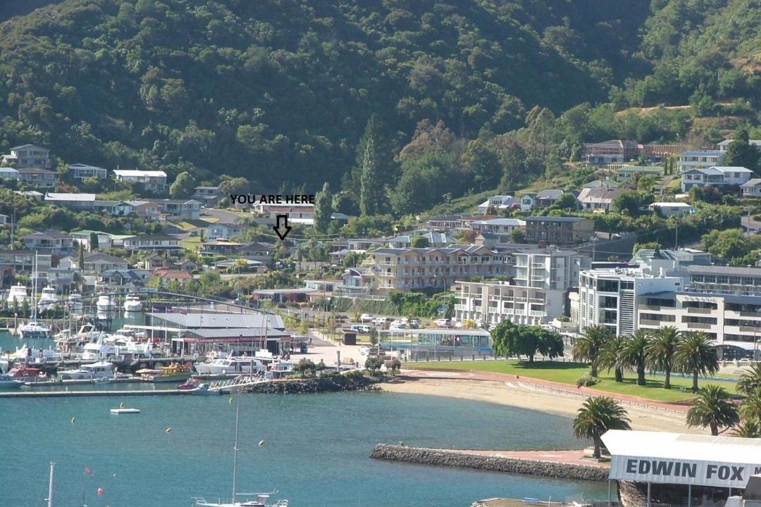 Photo of Buildings in Picton