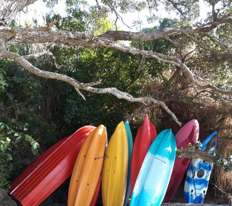 Photo of Others in Mangawhai Heads