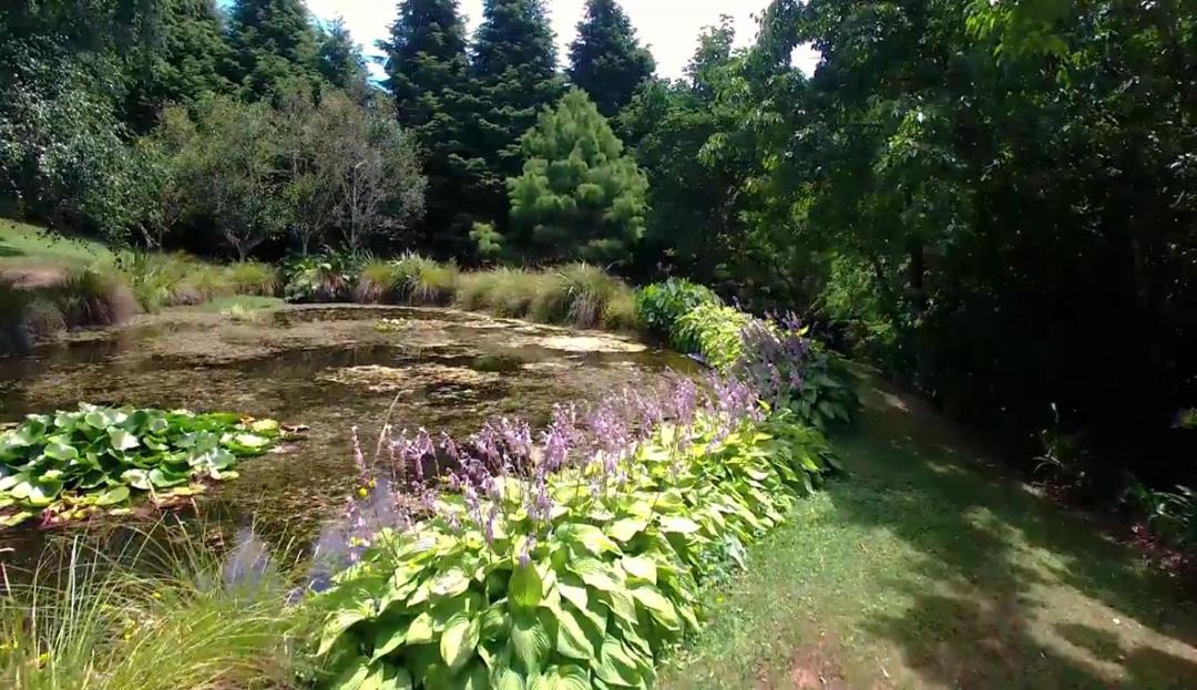 Photo of Outdoor in Taupo