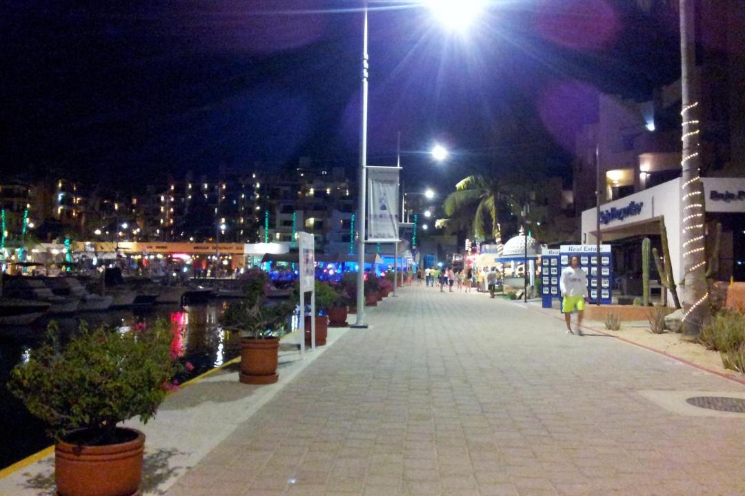 Photo of Others in Marina
