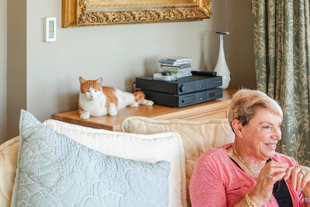 Photo of Human In Picture in Cashmere