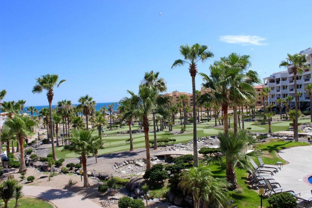 Photo of Others in Puerto Penasco