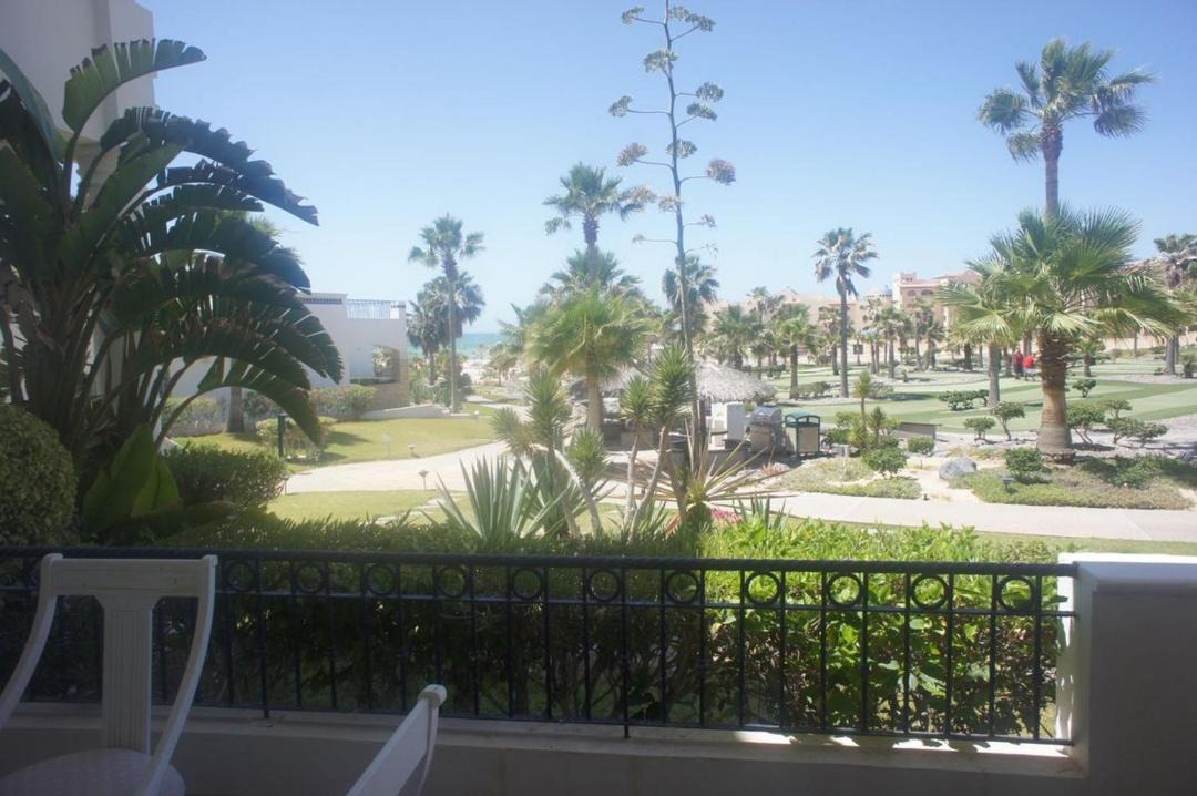 Photo of Others in Puerto Penasco