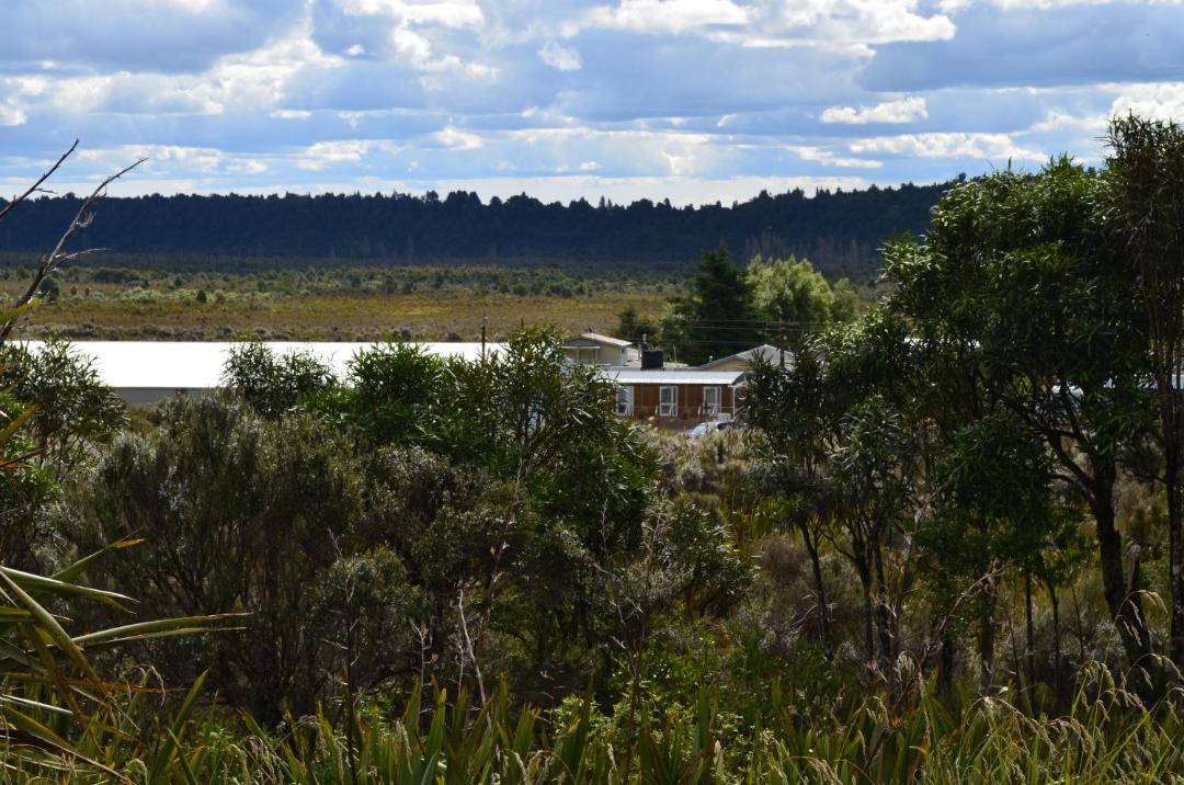 Photo of Others in Tongariro National Park