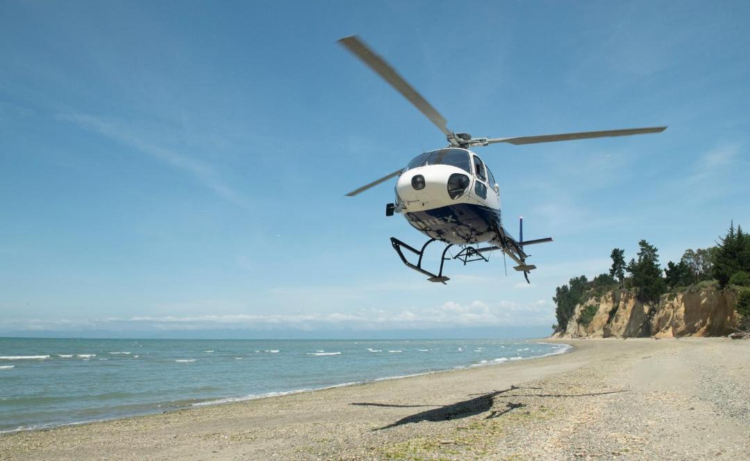 Photo of Others in Tasman