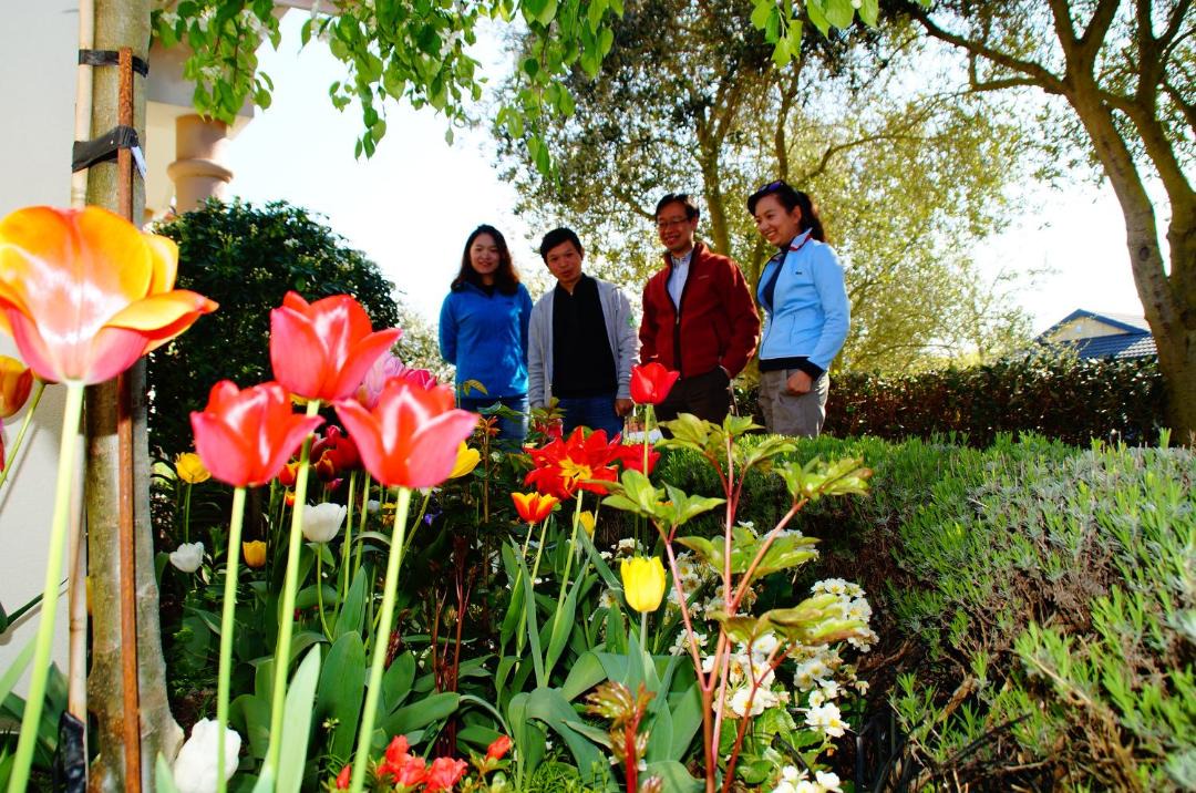 Photo of Others in Christchurch
