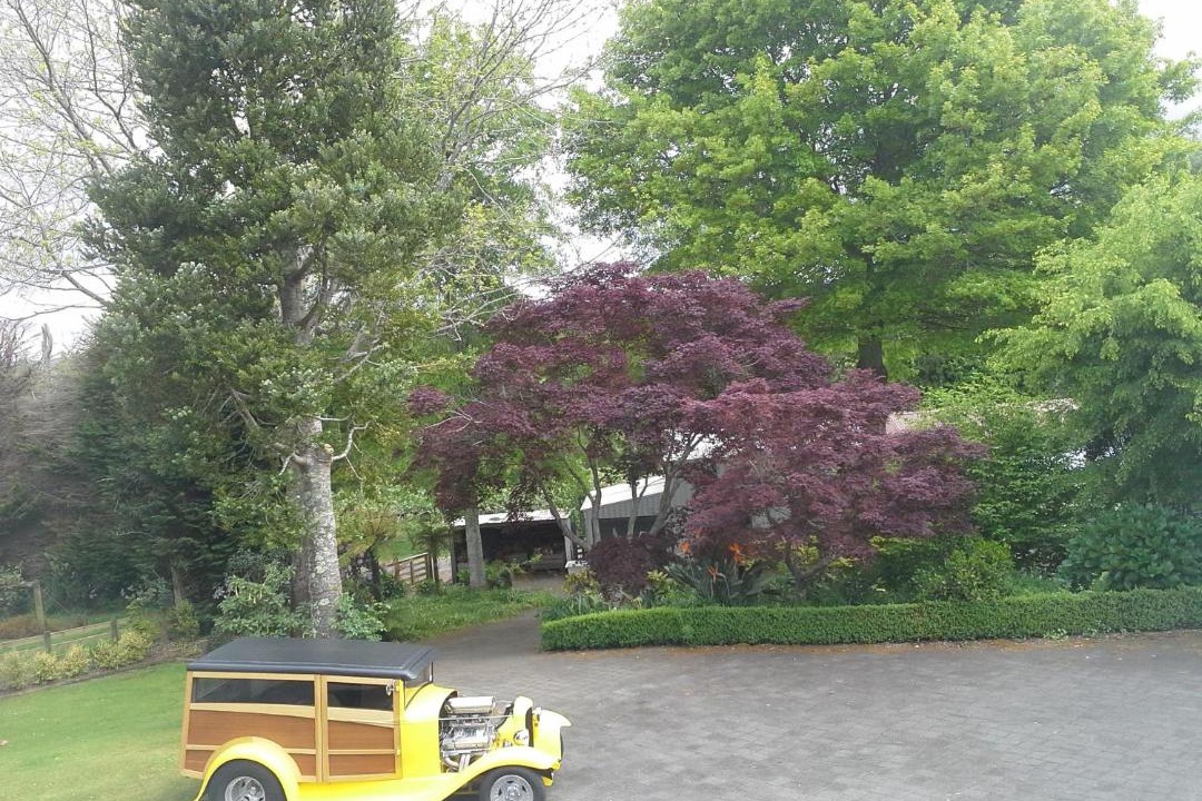 Photo of Outdoor in Aongatete