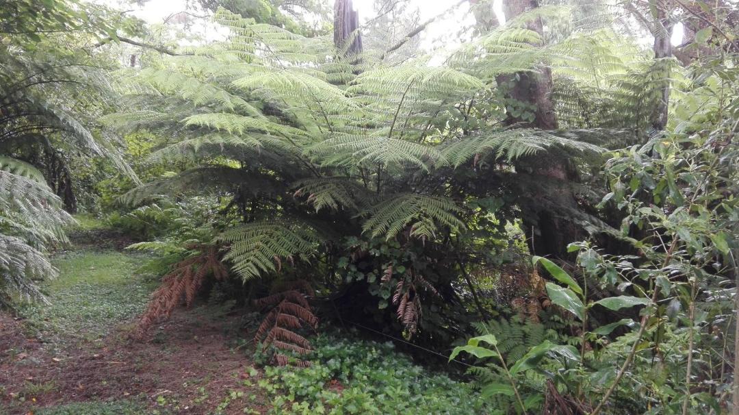 Photo of Outdoor in Katikati