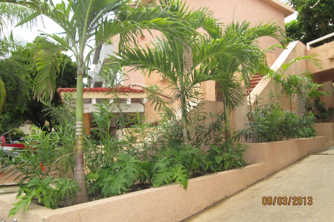 Photo of Others in Puerto Aventuras