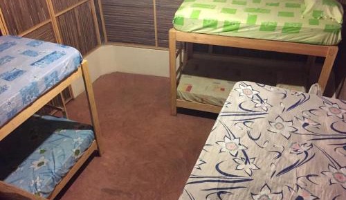 Bunk Bed in Mixed Dormitory Room